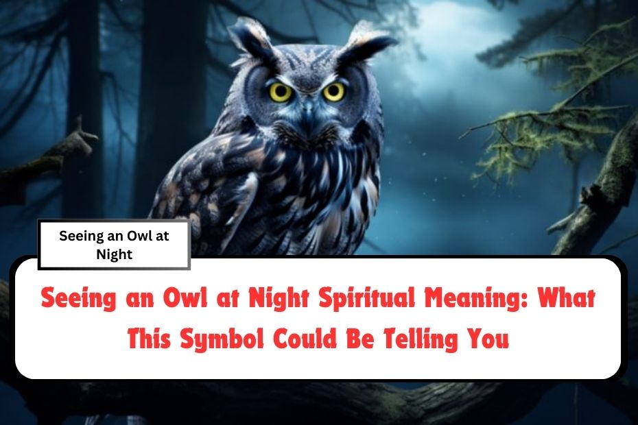 Seeing an Owl at Night Spiritual Meaning: What This Symbol Could Be Telling You