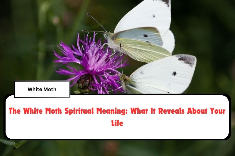 The White Moth Spiritual Meaning: What It Reveals About Your Life