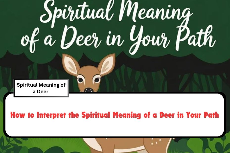 How to Interpret the Spiritual Meaning of a Deer in Your Path