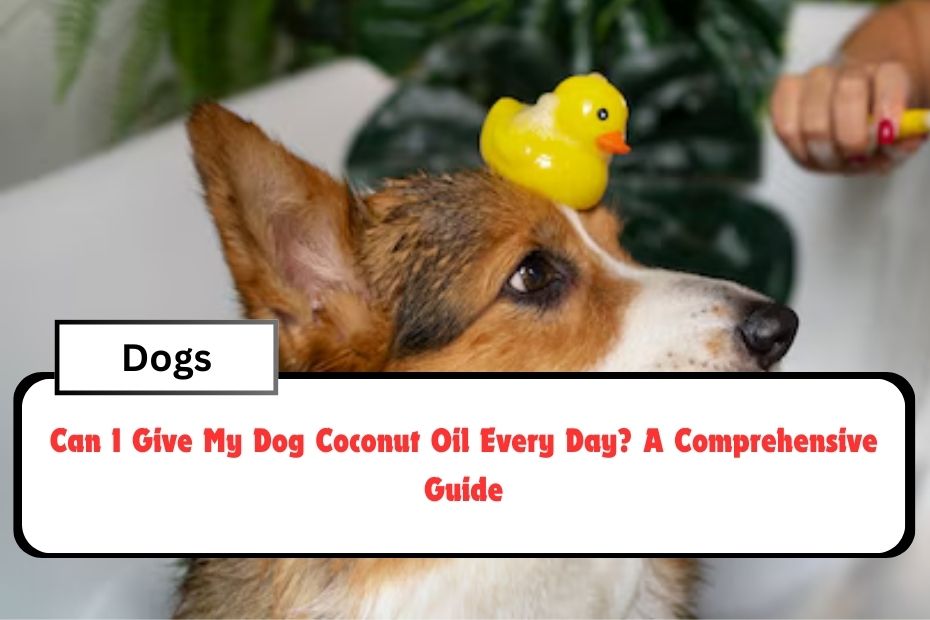 Can I Give My Dog Coconut Oil Every Day? A Comprehensive Guide