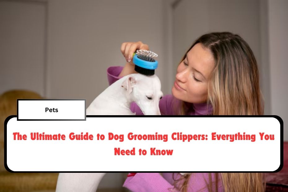 The Ultimate Guide to Dog Grooming Clippers: Everything You Need to Know