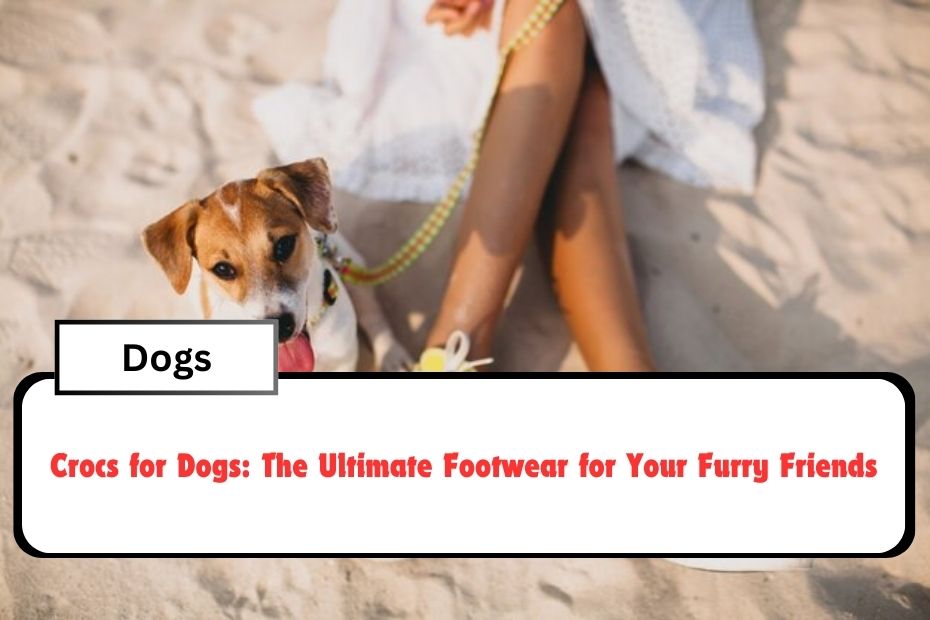 Crocs for Dogs: The Ultimate Footwear for Your Furry Friends