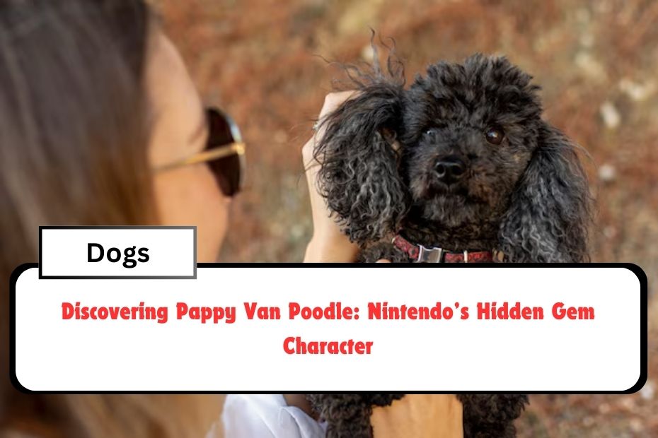 Discovering Pappy Van Poodle: Nintendo’s Hidden Gem Character