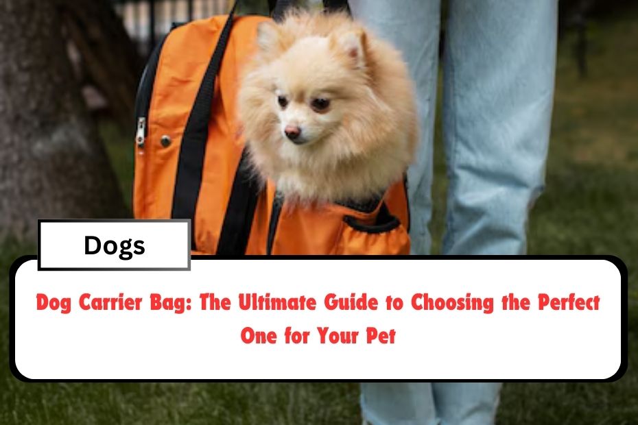 Dog Carrier Bag: The Ultimate Guide to Choosing the Perfect One for Your Pet