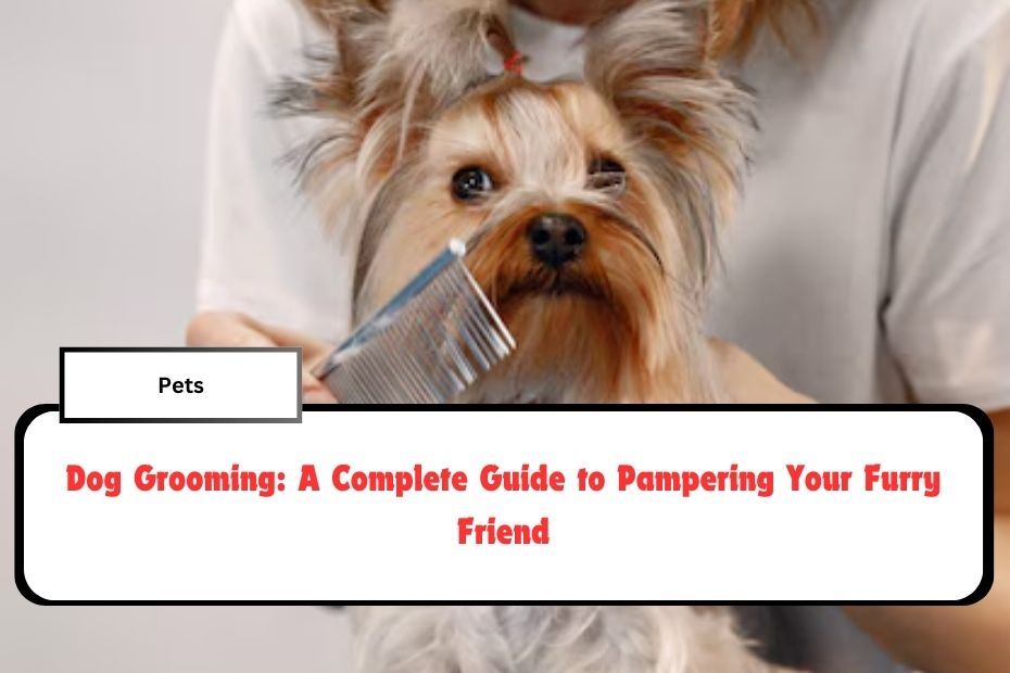 Dog Grooming: A Complete Guide to Pampering Your Furry Friend