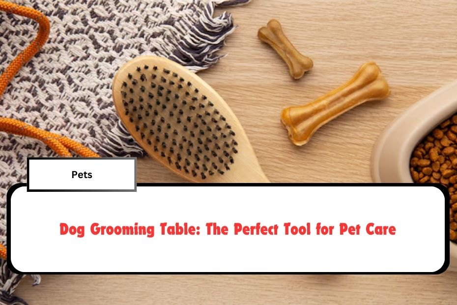 Dog Grooming Table: The Perfect Tool for Pet Care