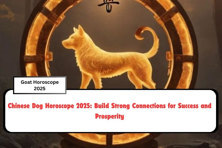 Chinese Dog Horoscope 2025: Build Strong Connections for Success and Prosperity