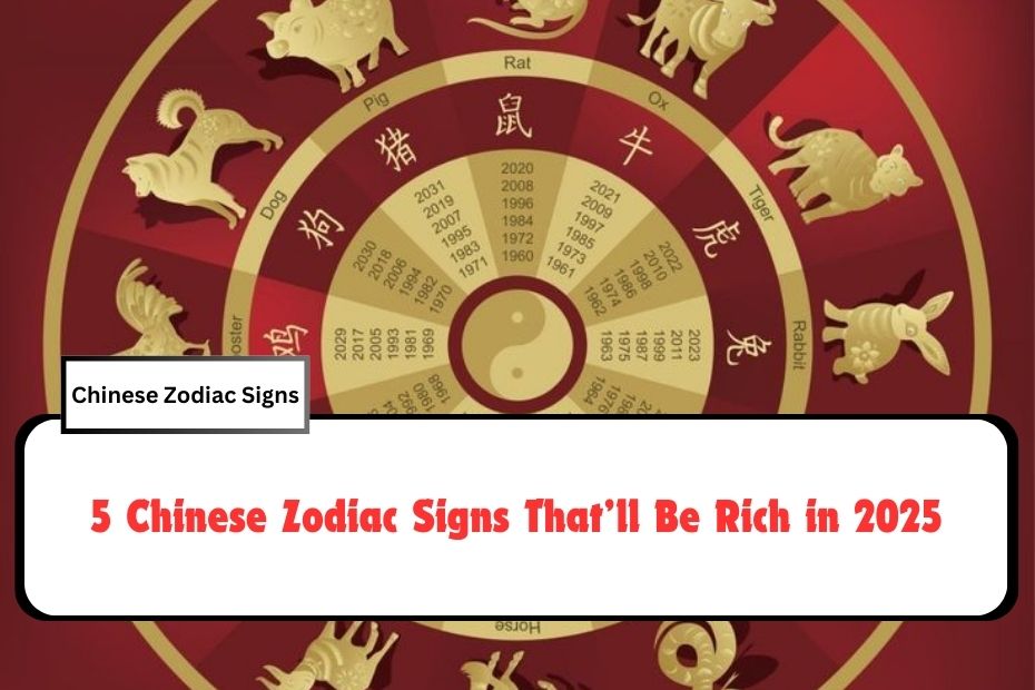 5 Chinese Zodiac Signs That’ll Be Rich in 2025