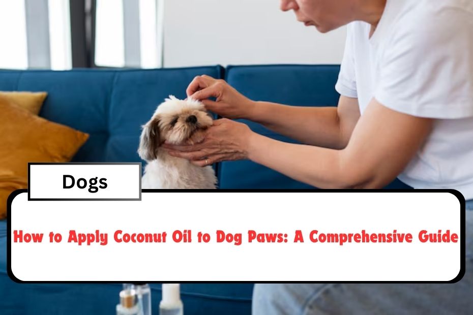 How to Apply Coconut Oil to Dog Paws: A Comprehensive Guide