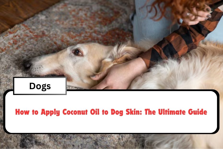 How to Apply Coconut Oil to Dog Skin: The Ultimate Guide