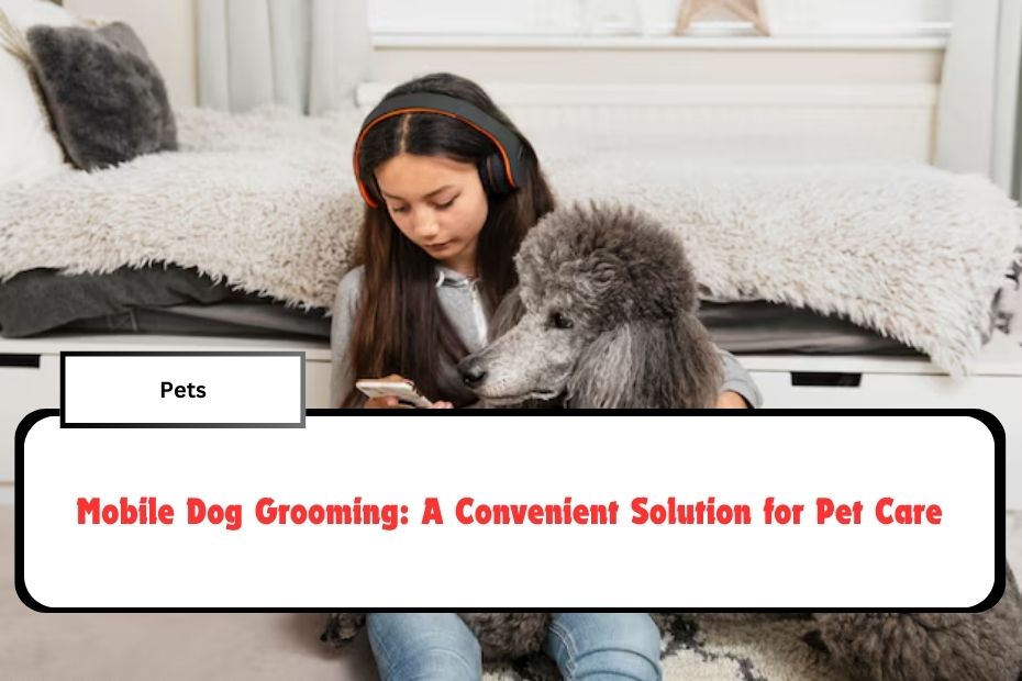 Mobile Dog Grooming: A Convenient Solution for Pet Care