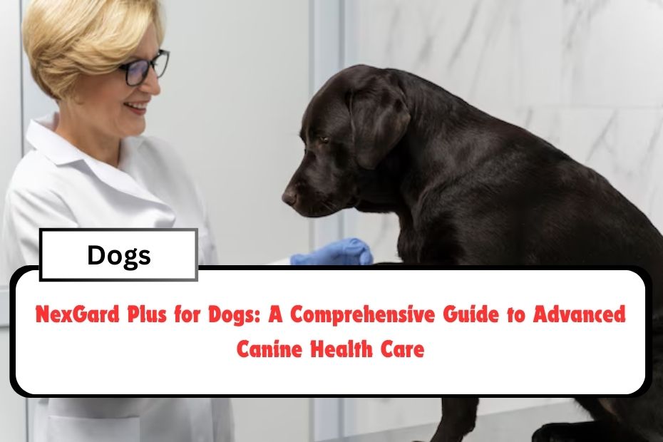 NexGard Plus for Dogs: A Comprehensive Guide to Advanced Canine Health Care