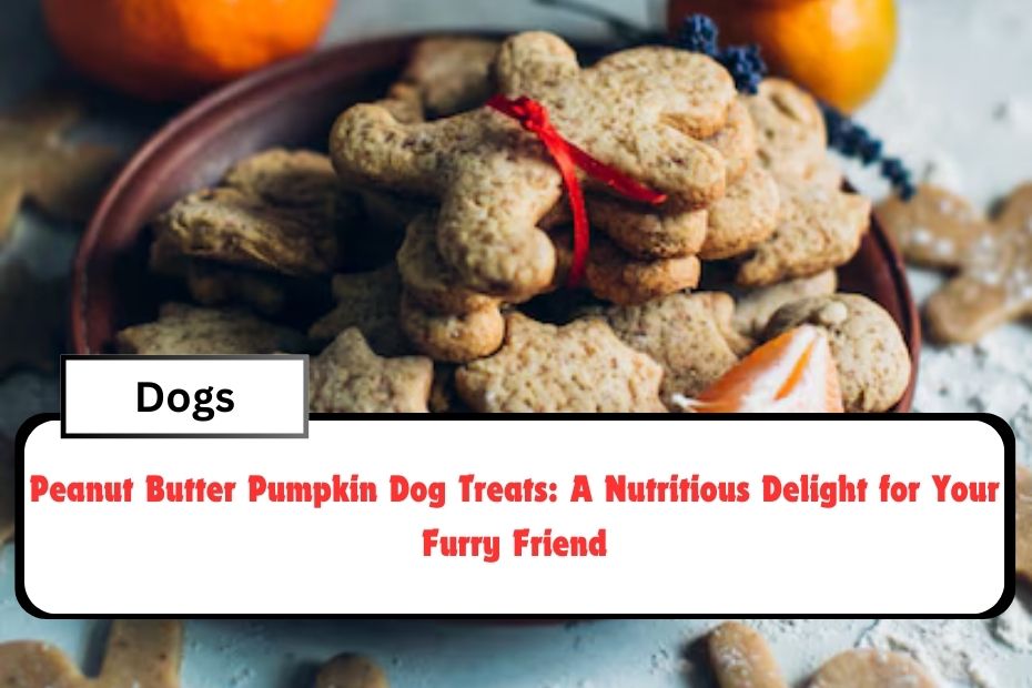 Peanut Butter Pumpkin Dog Treats: A Nutritious Delight for Your Furry Friend