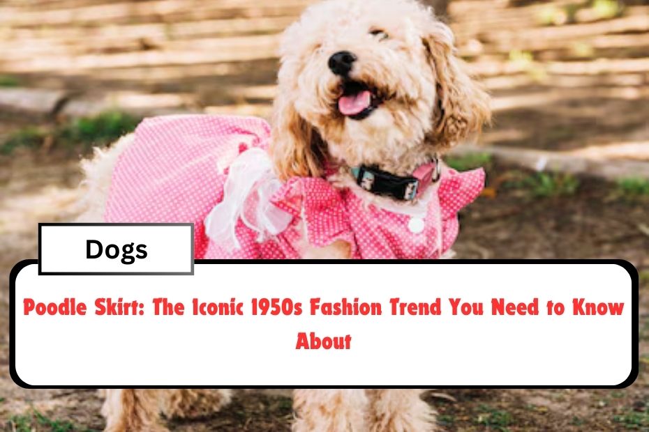 Poodle Skirt: The Iconic 1950s Fashion Trend You Need to Know About