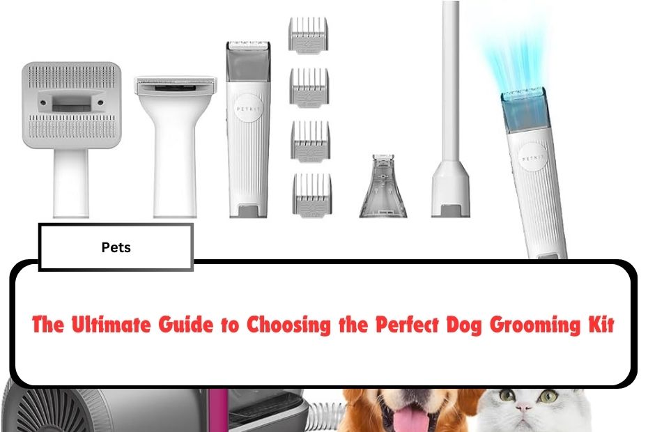 The Ultimate Guide to Choosing the Perfect Dog Grooming Kit