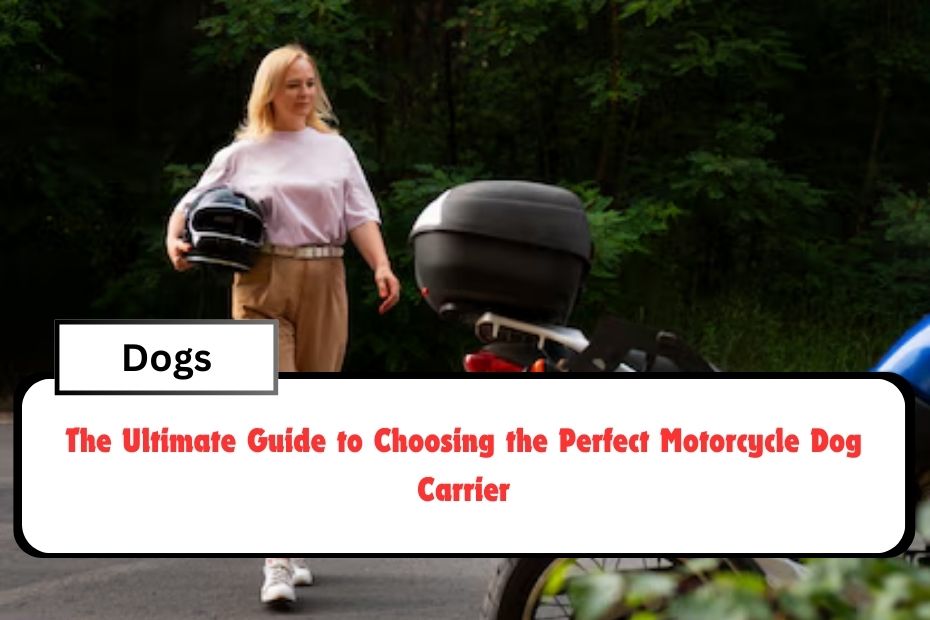 The Ultimate Guide to Choosing the Perfect Motorcycle Dog Carrier