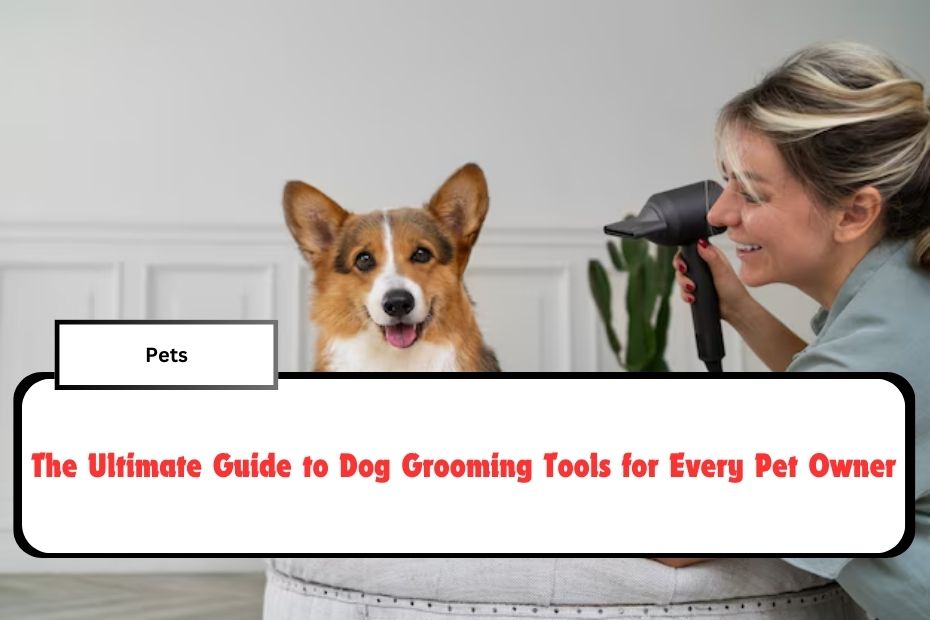 The Ultimate Guide to Dog Grooming Tools for Every Pet Owner