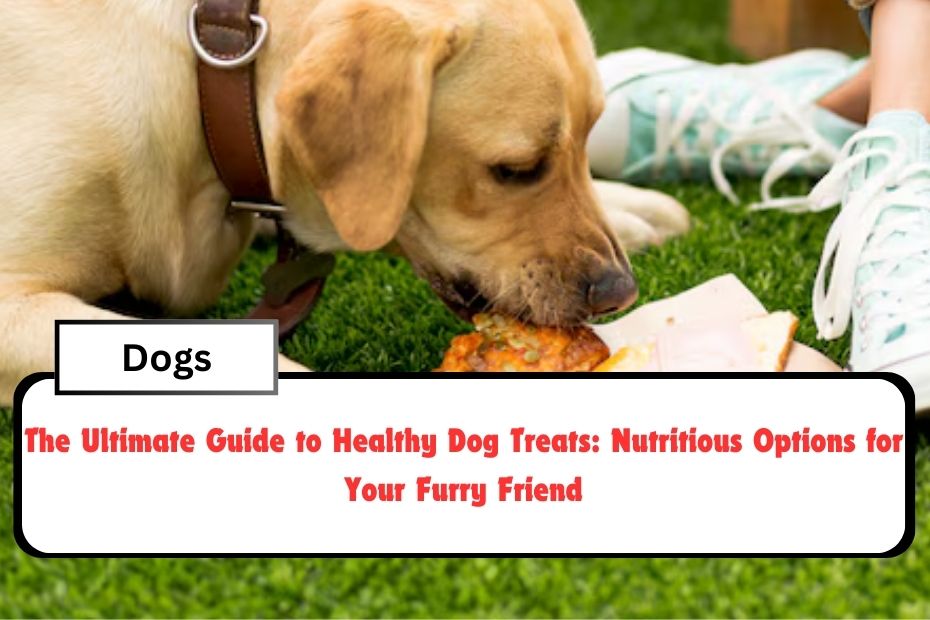 The Ultimate Guide to Healthy Dog Treats: Nutritious Options for Your Furry Friend