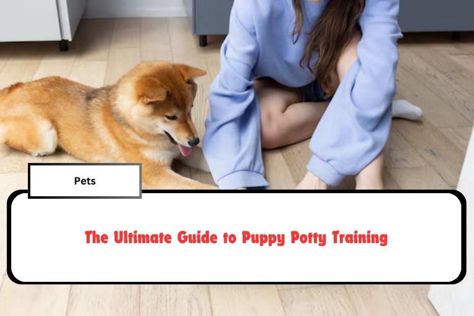 The Ultimate Guide to Puppy Potty Training