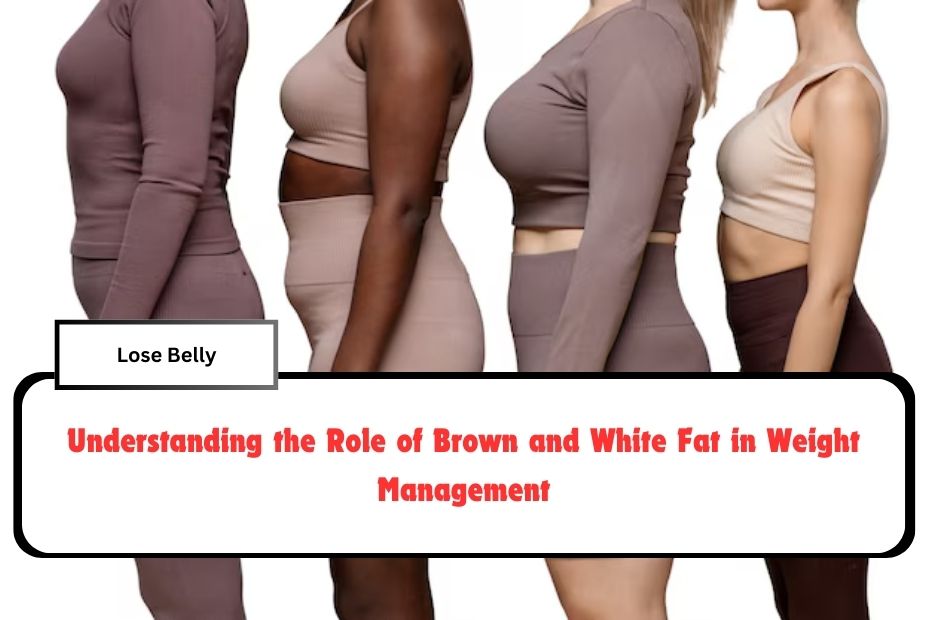 Understanding the Role of Brown and White Fat in Weight Management