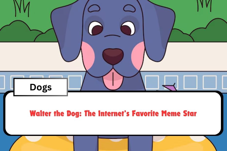 Walter the Dog: The Internet’s Favorite Meme Star